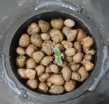 20250610_205648.jpg 20250610_205648.jpg