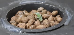 20250610_205625.jpg 20250610_205625.jpg