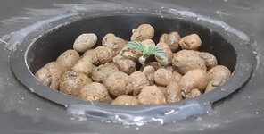 20250612_183321.jpg 20250612_183321.jpg