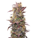 1771240749039.png 1771240749039.png