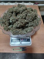 IMG_20260222_023143.jpg IMG_20260222_023143.jpg