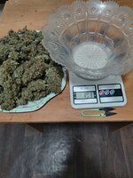 IMG_20260222_023431.jpg IMG_20260222_023431.jpg