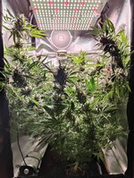 Day 113 (23.02).jpg.jpg Day 113 (23.02).jpg.jpg