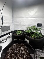 Легендарные калаши