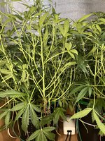 4 — копия.jpg