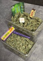 Автик+фотик(упор на фотик)