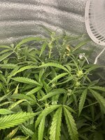 4 — копия.jpg