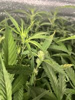 9 — копия.jpg