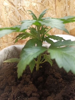 photo_2022-06-02_00-08-22 (3).jpg