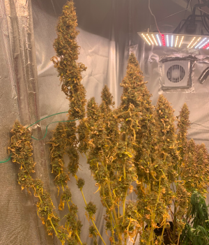 Снимок экрана 2022-06-11 в 12.53.38.png