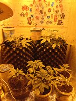 IMG_20260322_112845.jpg