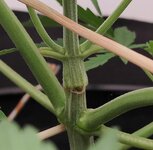 Day 29 23.03 (2).jpg