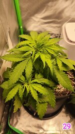 Размывая Границы Реальности