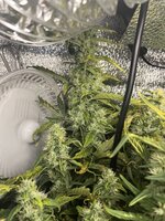 3 — копия.jpg