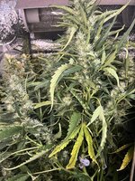 4 — копия.jpg