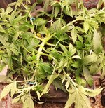 IMG_20260405_110526~2.jpg
