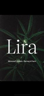 По пятам за Кианой ~ LIRA~