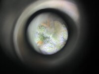 5 — копия.jpg