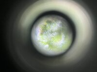 5 — копия.JPG