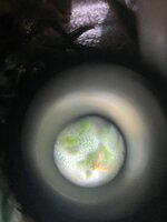 7 — копия.JPG