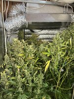 1 — копия.JPG 1 — копия.JPG