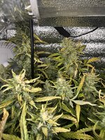 2 — копия.JPG 2 — копия.JPG