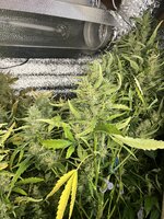 3 — копия.JPG 3 — копия.JPG