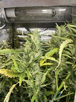 5 — копия.JPG 5 — копия.JPG