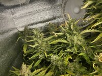 7 — копия.JPG 7 — копия.JPG