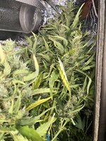 10 — копия.JPG 10 — копия.JPG