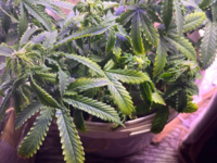 Начинаю свой путь!