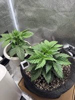 photo_3_2026-04-14_19-44-22.jpg photo_3_2026-04-14_19-44-22.jpg