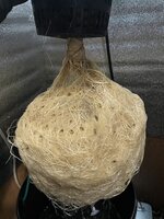 3 — копия.JPG