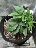 photo_1_2026-04-16_00-07-38.jpg photo_1_2026-04-16_00-07-38.jpg