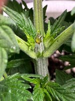 photo_3_2026-04-16_00-07-38.jpg photo_3_2026-04-16_00-07-38.jpg