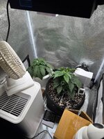 photo_4_2026-04-16_00-07-38.jpg photo_4_2026-04-16_00-07-38.jpg