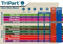 1000023786.jpg 1000023786.jpg