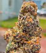 1776355032078.png 1776355032078.png