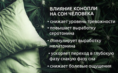 Kakim-obrazom-kannabis-mozhet-uluchshat-kachestvo-sna__K5iNcBGBDHvek5ej.jpg