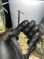 Кислая ревность на DWC