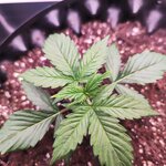 IMG_20260422_141328 (1).jpg