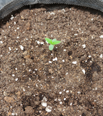 В Добрый Путь Товарищи 🌱!!!