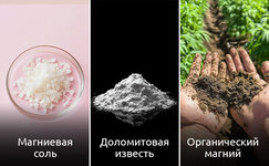 Magnii-dlya-konopli__TopJlnPWHa07GHR9.jpg
