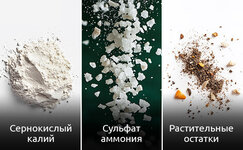 Sera-dlya-konopli__fb0xYVS4LwGDLF6P.jpg