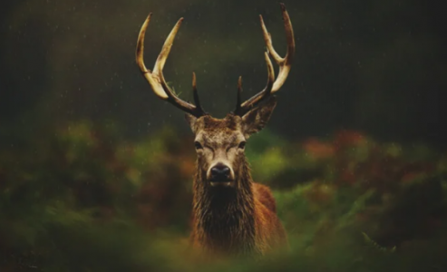 1655376974290.png 1655376974290.png