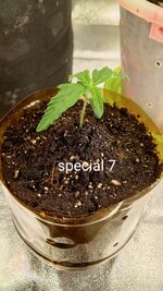 1000131079.jpg