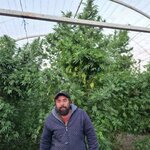 G5PkFqtG3LTBHlF_R25foof2DhIlAaTSgFEyg3V9DSIHI_dNPj038KWR93Jy-CdxpJ2JUmZ4QZ9VuUnS8a7Hz8ig.jpg