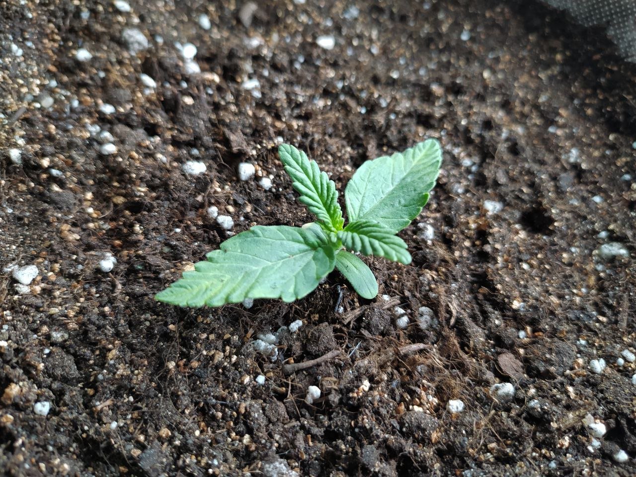 photo_7.jpg photo_7.jpg