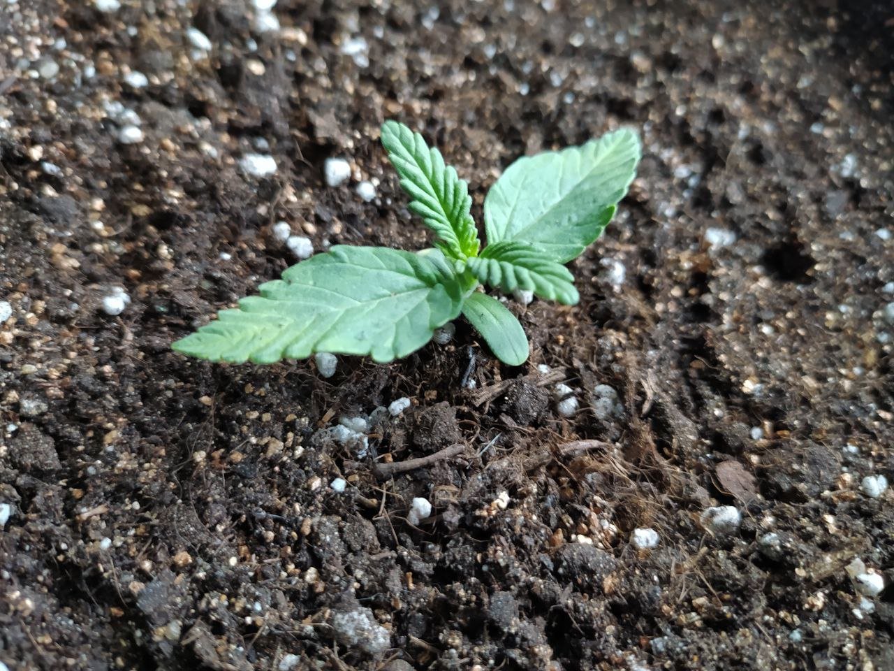 photo_202.jpg photo_202.jpg