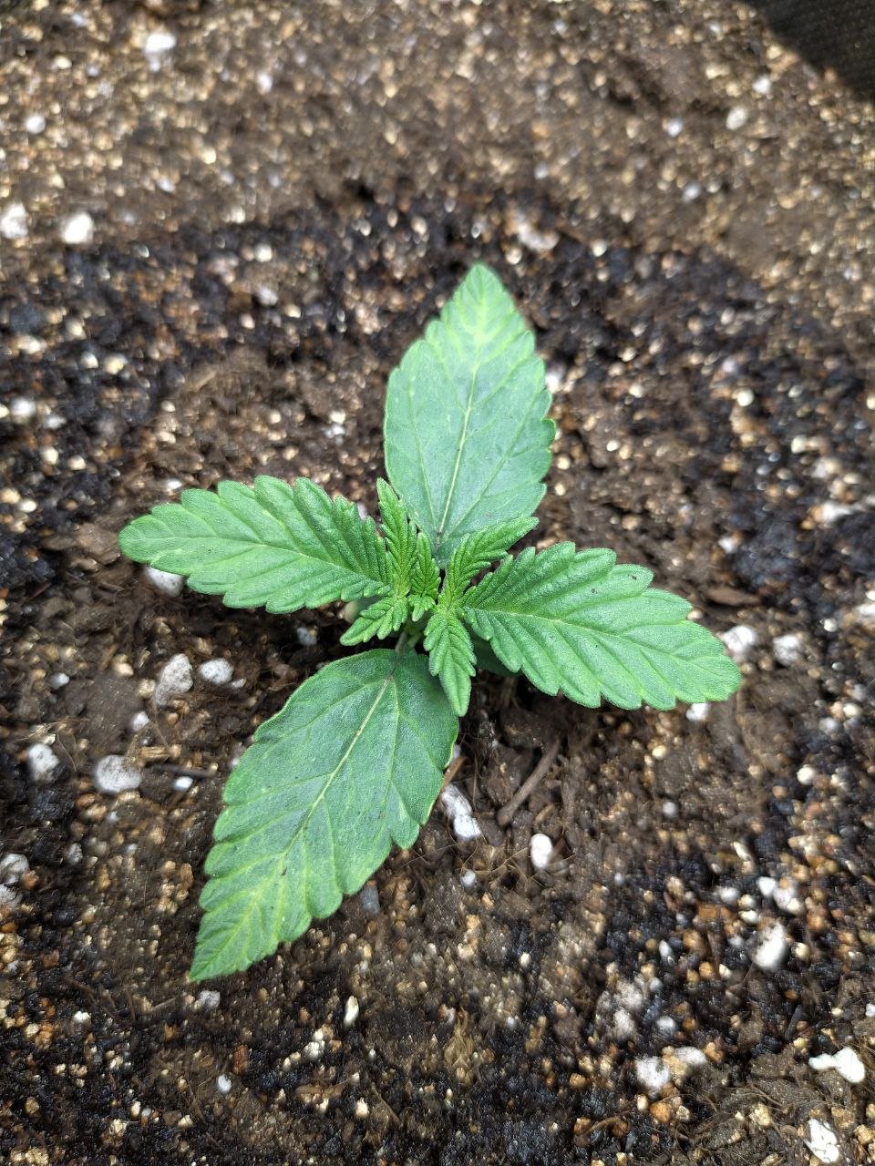 23 — копия.jpg